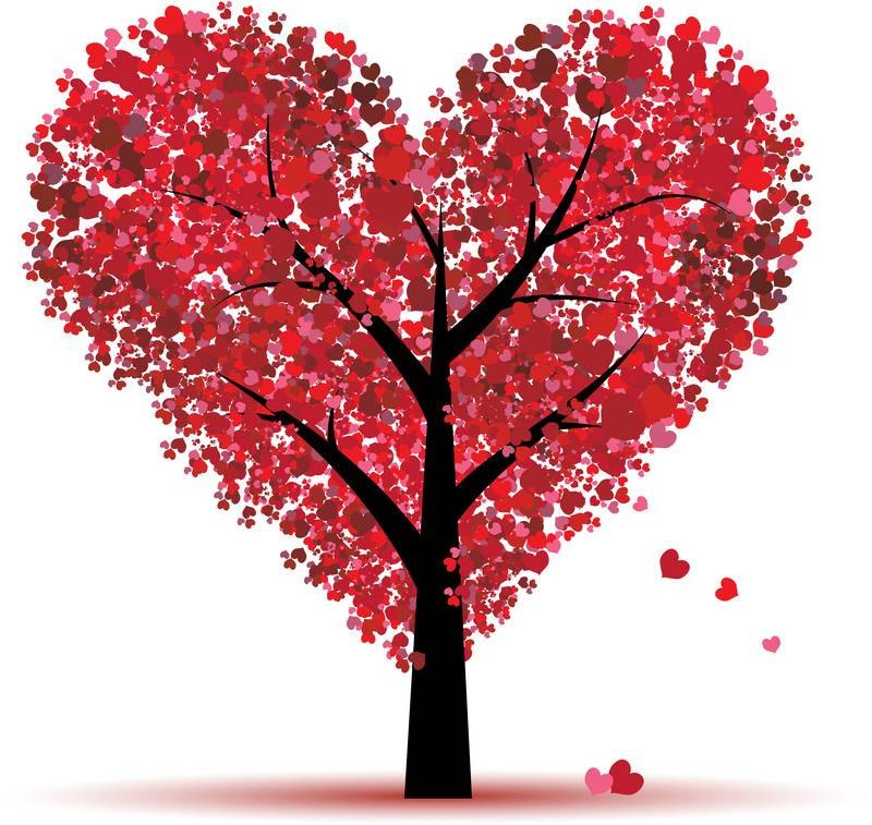 Image capture goes here 03